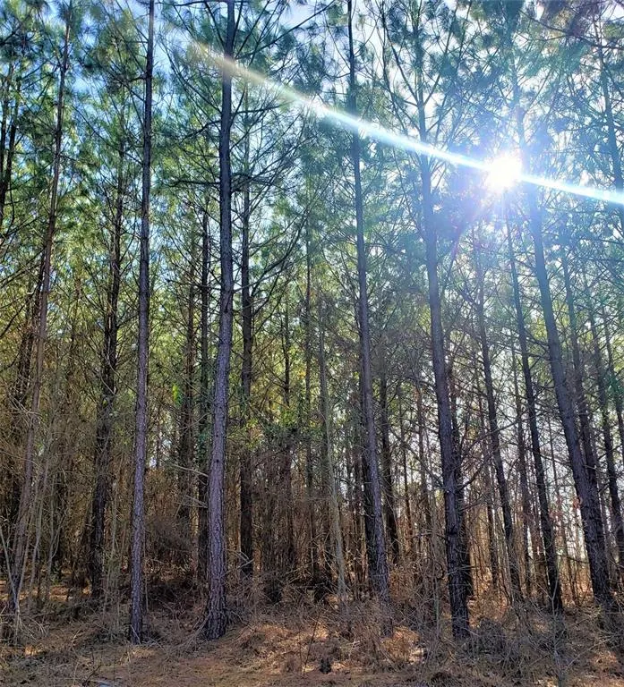 Photo 4 — 735 Timber Creek Trails South XI, Broken Bow, OK 74728