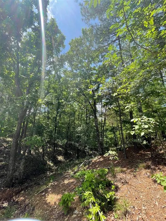 Photo 2 — 736 Timber Creek Trails South XI, Broken Bow, OK 74728