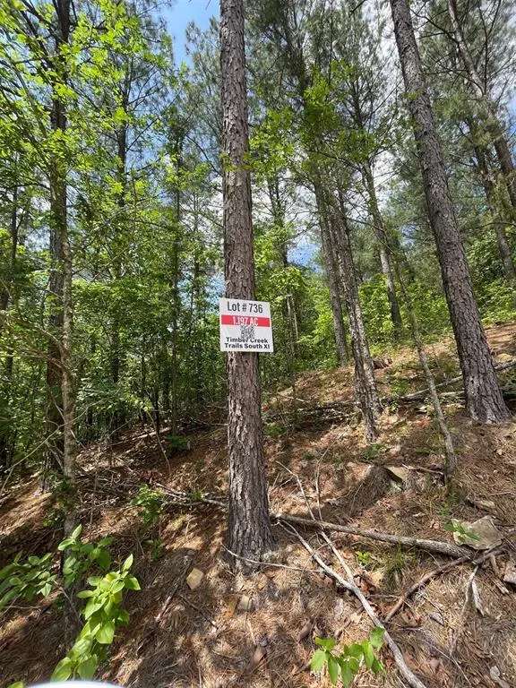 Photo 3 — 736 Timber Creek Trails South XI, Broken Bow, OK 74728