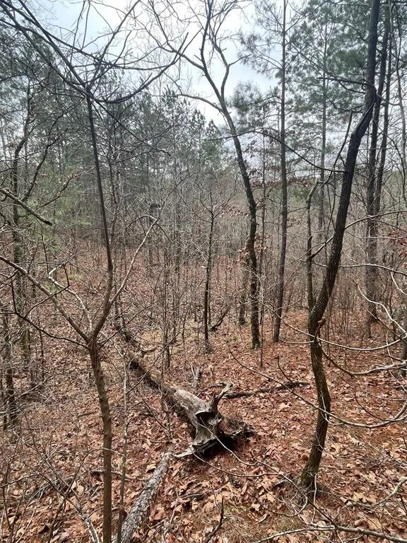 Photo 4 — 736 Timber Creek Trails South XI, Broken Bow, OK 74728