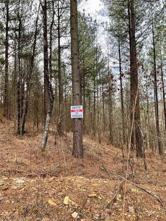 Photo 4 — 737 Timber Creek Trails South XI, Broken Bow, OK 74728