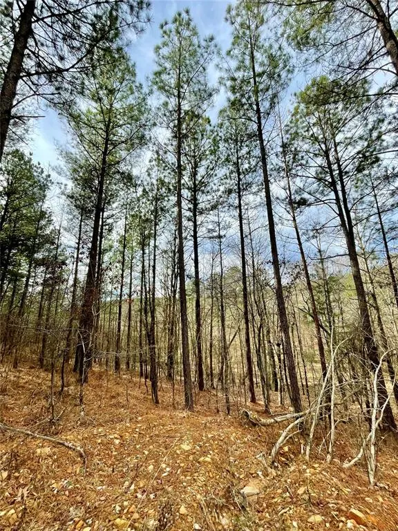 Photo 3 — 737 Timber Creek Trails South XI, Broken Bow, OK 74728