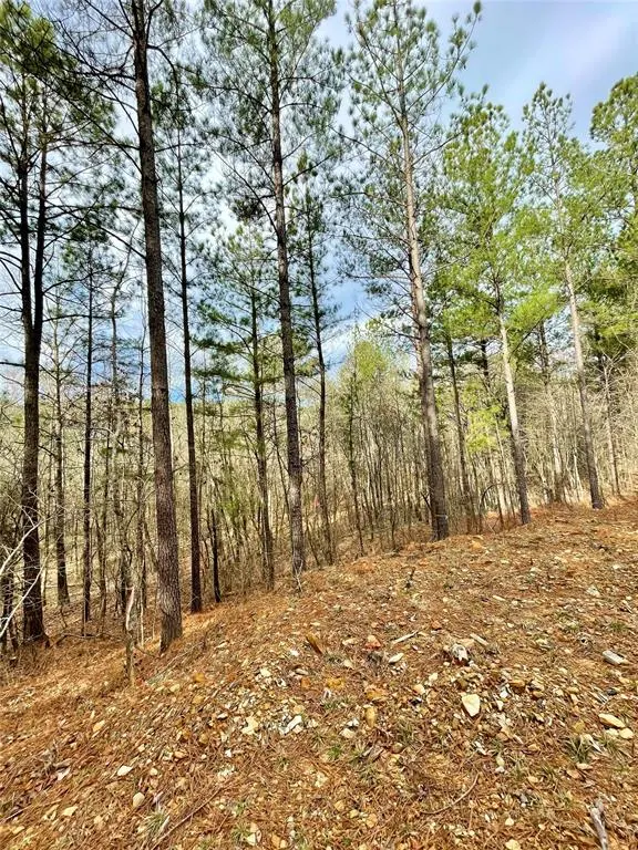 Photo 2 — 737 Timber Creek Trails South XI, Broken Bow, OK 74728