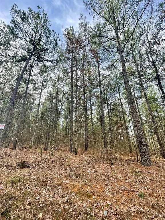 Photo 3 — 739 Timber Creek Trails South XI, Broken Bow, OK 74728