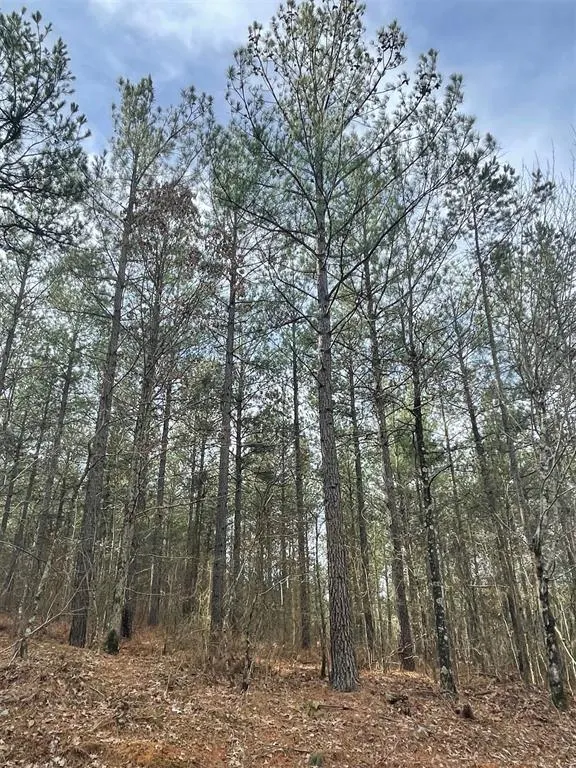 Photo 2 — 739 Timber Creek Trails South XI, Broken Bow, OK 74728