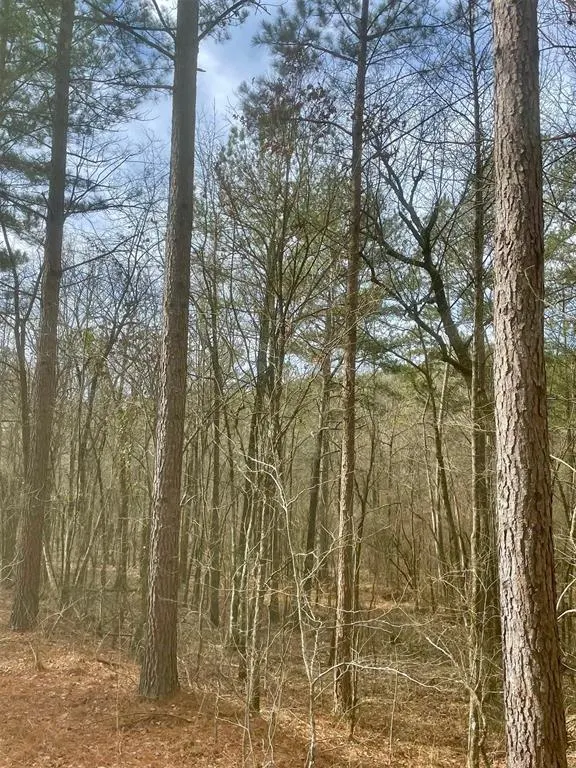 Photo 3 — 740 Timber Creek Trails Xl, Broken Bow, OK 74728