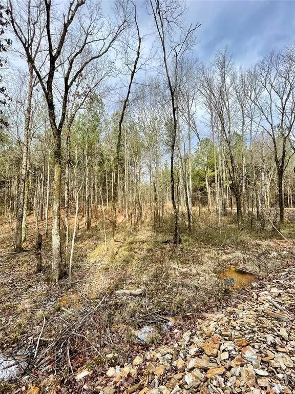 Photo 3 — 741 Timber Creek Trails South XI, Broken Bow, OK 74728