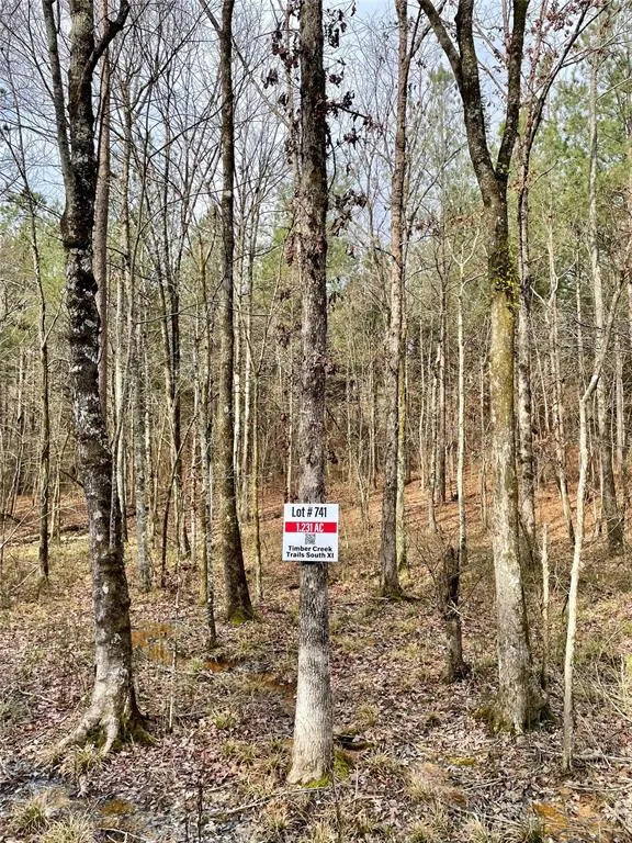 Photo 2 — 741 Timber Creek Trails South XI, Broken Bow, OK 74728