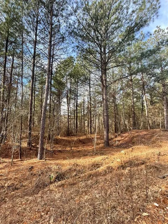 Photo 2 — 742 Timber Creek Trails South XI, Broken Bow, OK 74728