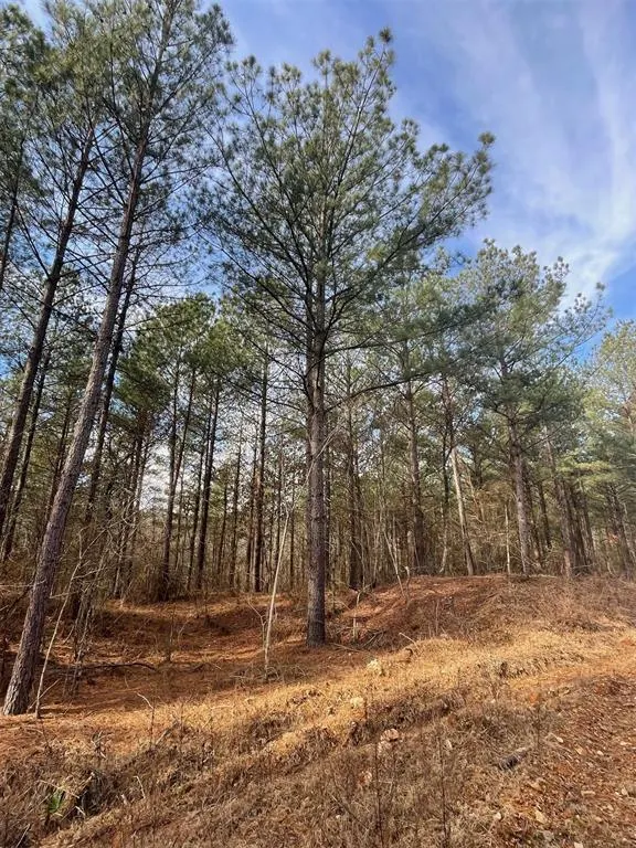 Photo 4 — 742 Timber Creek Trails South XI, Broken Bow, OK 74728