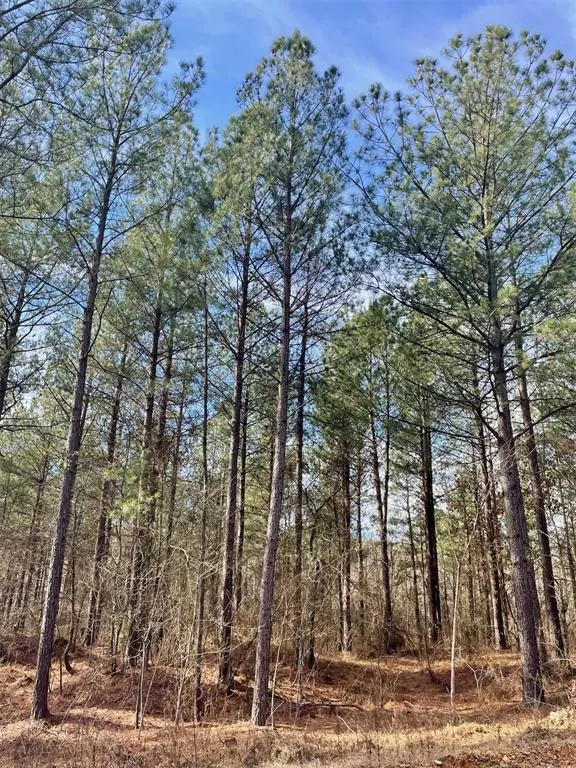 Front exterior — 742 Timber Creek Trails South XI, Broken Bow, OK 74728