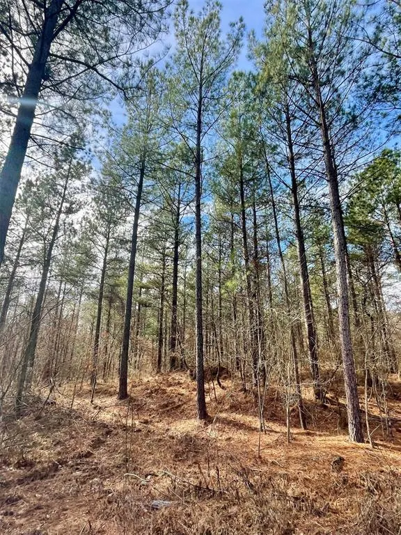 Photo 3 — 742 Timber Creek Trails South XI, Broken Bow, OK 74728