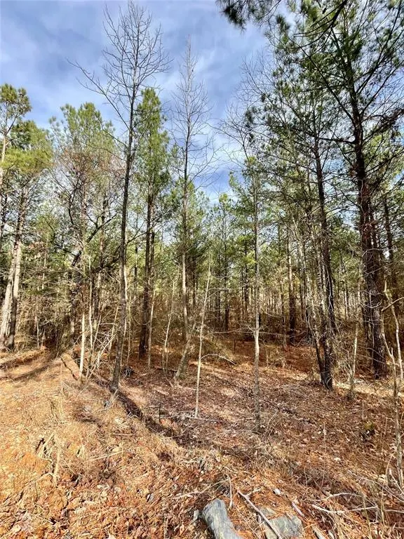 Photo 2 — 744 Timber Creek Trails South XI, Broken Bow, OK 74728
