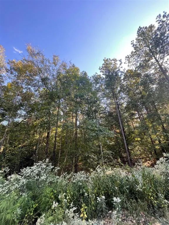 Photo 2 — 745 Timber Creek Trails South XI, Broken Bow, OK 74728