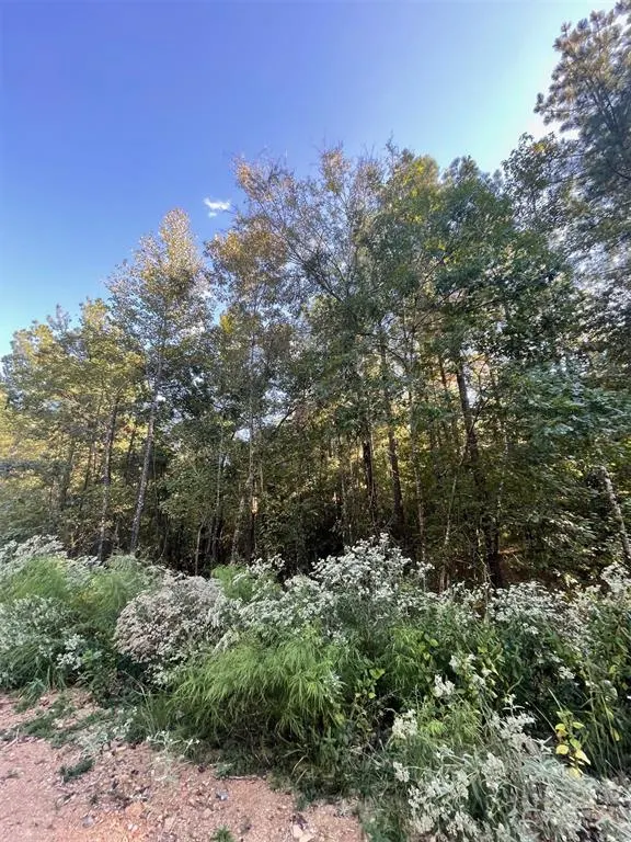 Photo 3 — 745 Timber Creek Trails South XI, Broken Bow, OK 74728