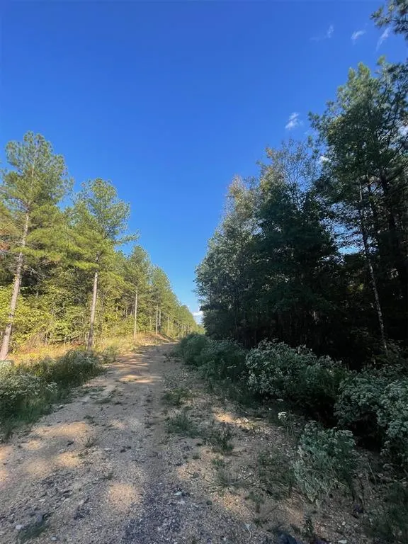 Photo 4 — 745 Timber Creek Trails South XI, Broken Bow, OK 74728