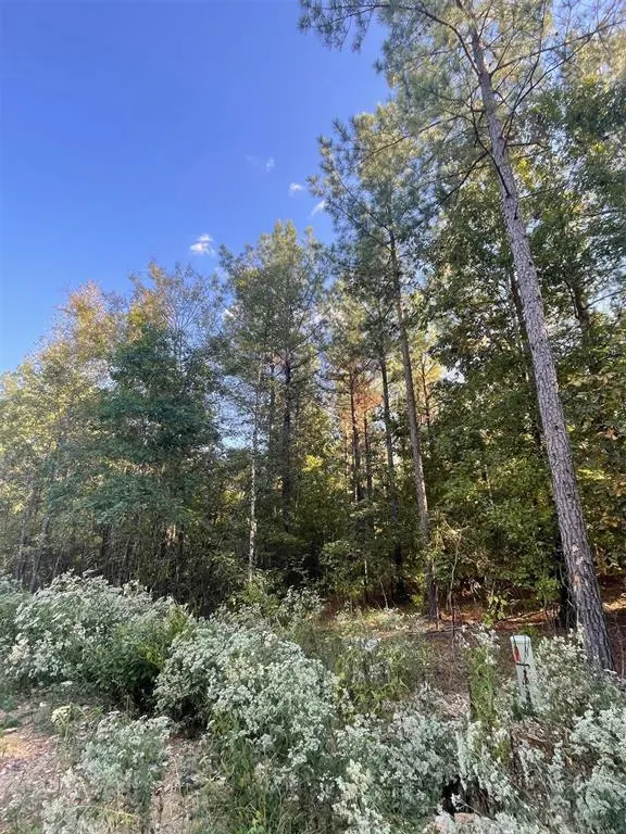 Photo 5 — 745 Timber Creek Trails South XI, Broken Bow, OK 74728