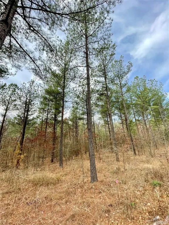 Photo 2 — 746 Timber Creek Trails South XI, Broken Bow, OK 74728