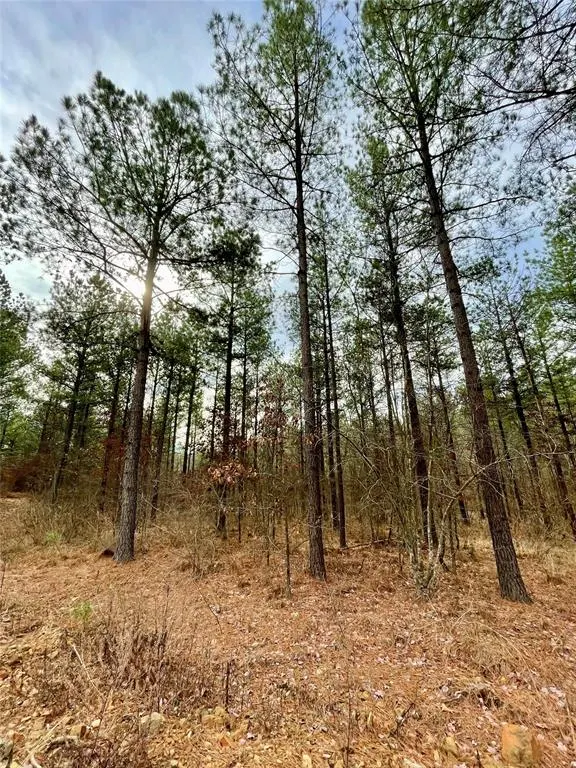 Front exterior — 746 Timber Creek Trails South XI, Broken Bow, OK 74728