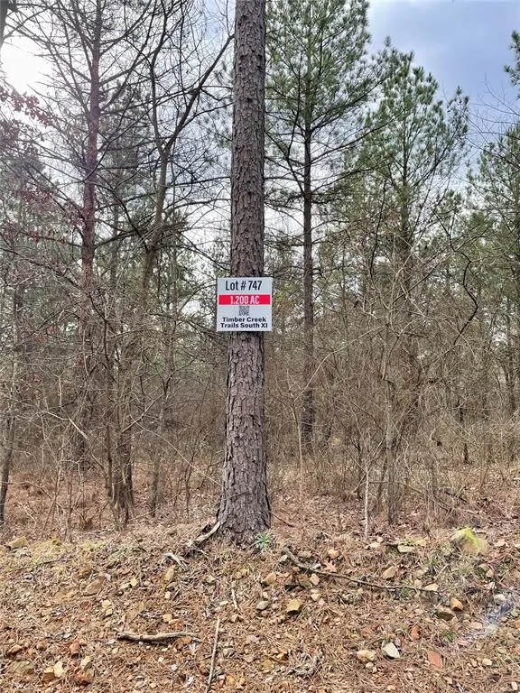 Photo 2 — 747 Timber Creek Trails South XI, Broken Bow, OK 74728
