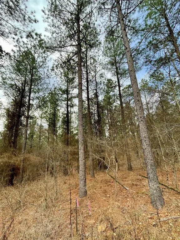 Front exterior — 748 Timber Creek Trails South XI, Broken Bow, OK 74728