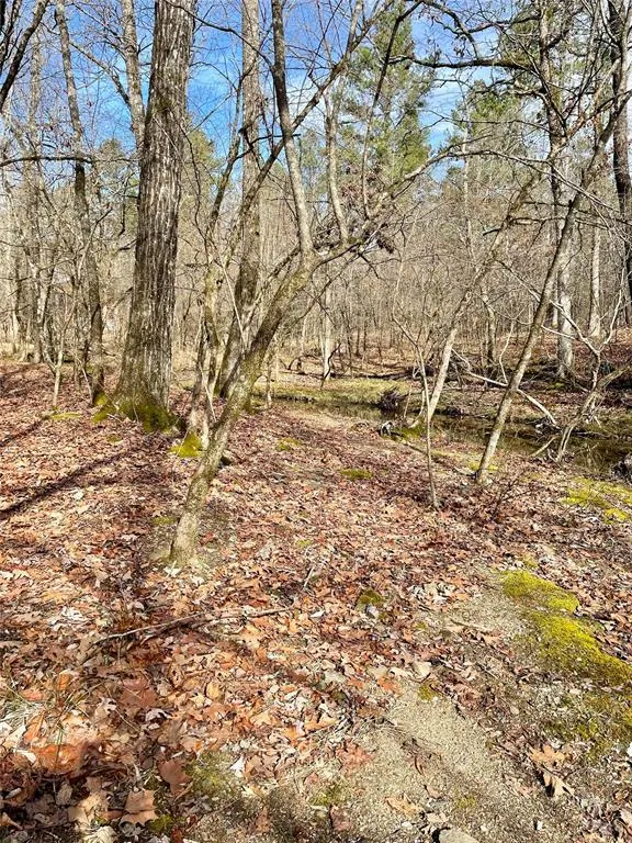 Photo 3 — 750 Timber Creek Trails South XI, Broken Bow, OK 74728