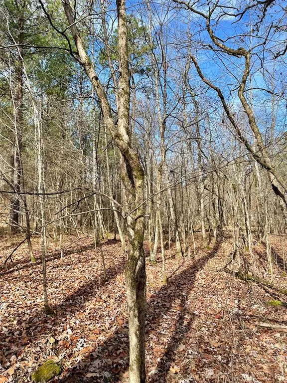 Photo 4 — 750 Timber Creek Trails South XI, Broken Bow, OK 74728