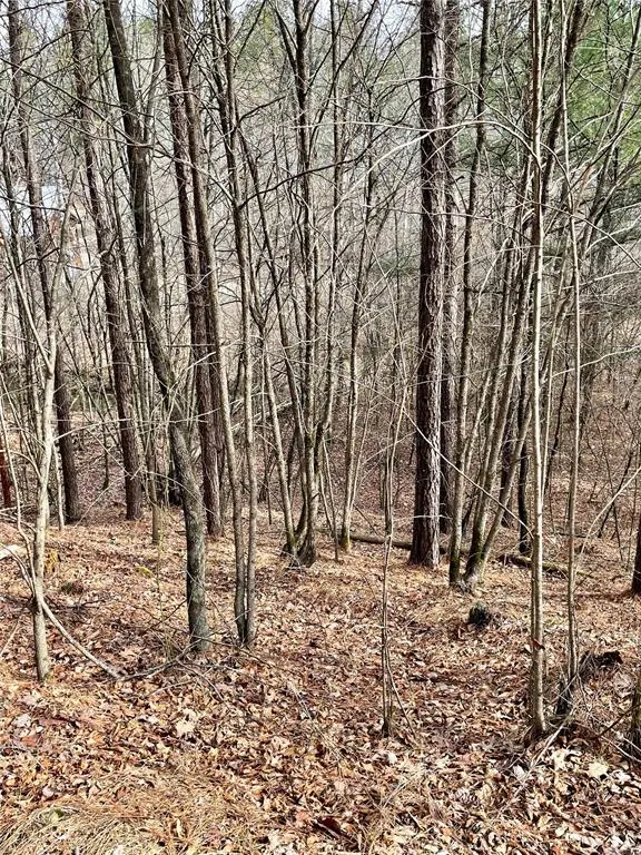 Photo 5 — 751 Timber Creek Trails South XI, Broken Bow, OK 74728
