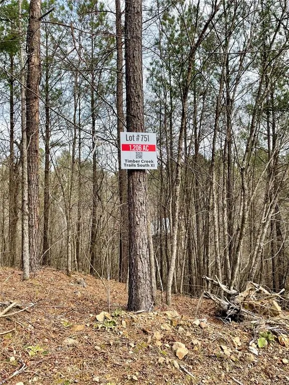 Photo 3 — 751 Timber Creek Trails South XI, Broken Bow, OK 74728