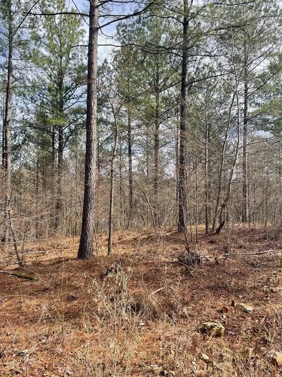 Photo 2 — 752 Timber Creek Trails South XI, Broken Bow, OK 74728