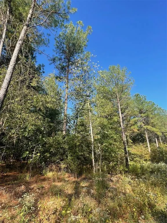 Photo 2 — 753 Timber Creek Trails South XI, Broken Bow, OK 74728