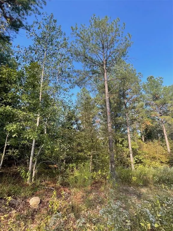 Photo 3 — 753 Timber Creek Trails South XI, Broken Bow, OK 74728