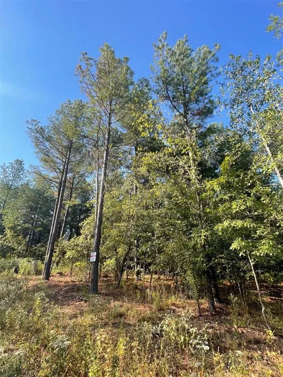 Photo 4 — 753 Timber Creek Trails South XI, Broken Bow, OK 74728