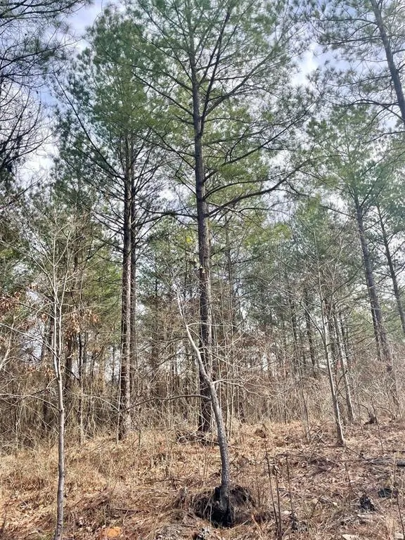 Photo 3 — 754 Timber Creek Trails South XI, Broken Bow, OK 74728