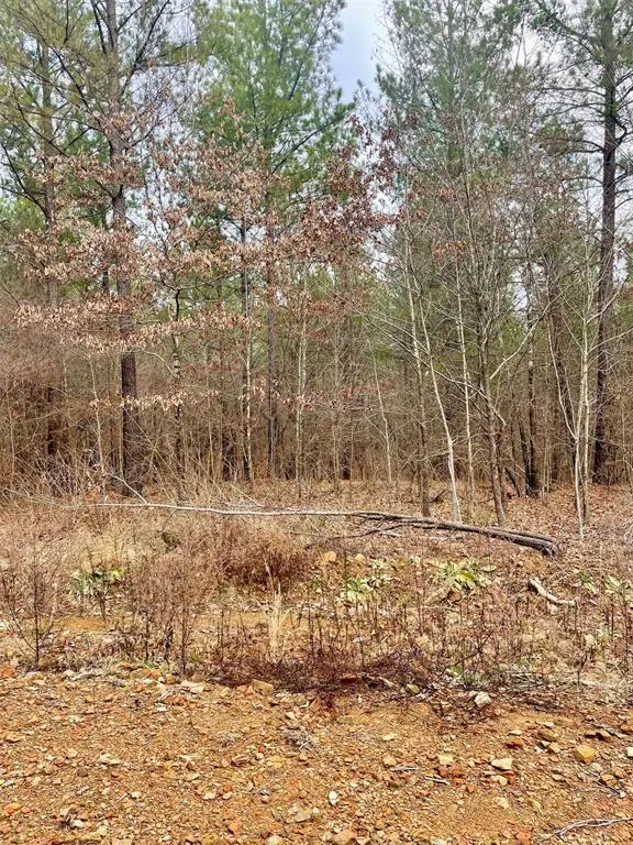 Photo 3 — 755 Timber Creek Trails South XI, Broken Bow, OK 74728