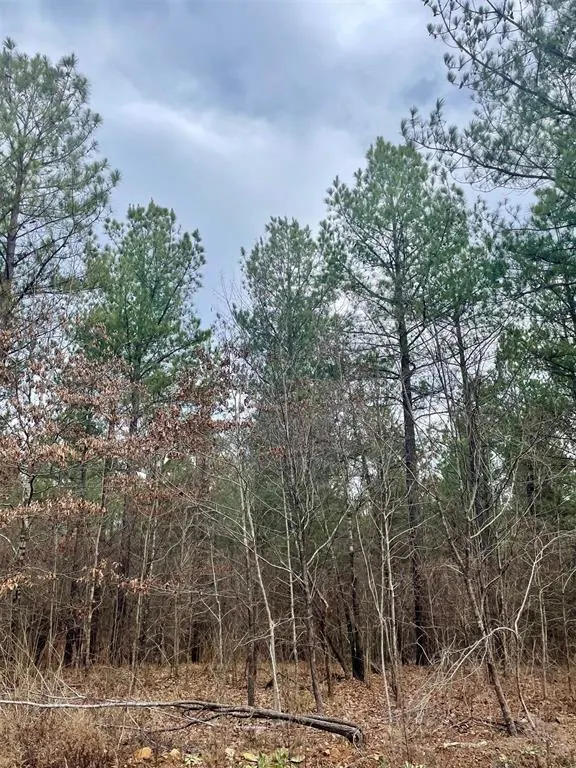 Front exterior — 755 Timber Creek Trails South XI, Broken Bow, OK 74728