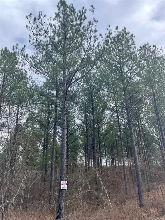 Photo 4 — 755 Timber Creek Trails South XI, Broken Bow, OK 74728