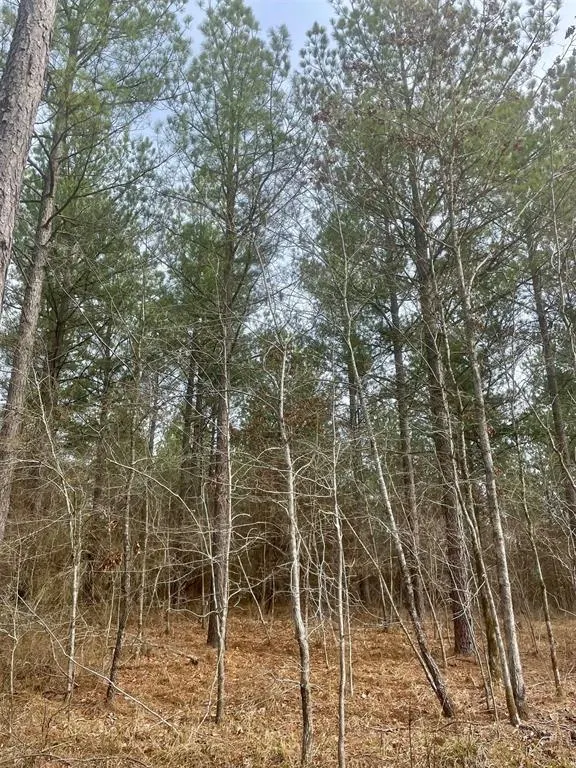 Photo 4 — 757 Timber Creek Trails South XI, Broken Bow, OK 74728