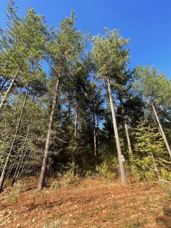 Photo 2 — 758 Timber Creek Trails South XI, Broken Bow, OK 74728