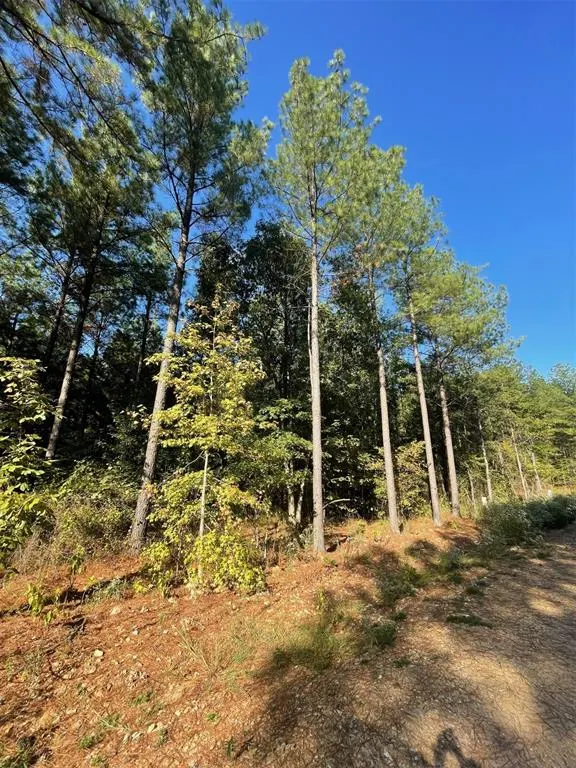 Photo 3 — 758 Timber Creek Trails South XI, Broken Bow, OK 74728
