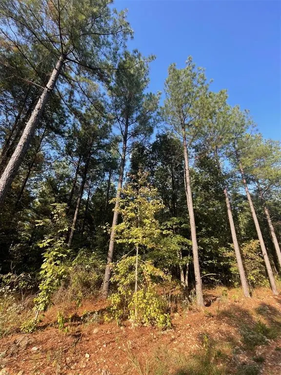 Photo 4 — 758 Timber Creek Trails South XI, Broken Bow, OK 74728