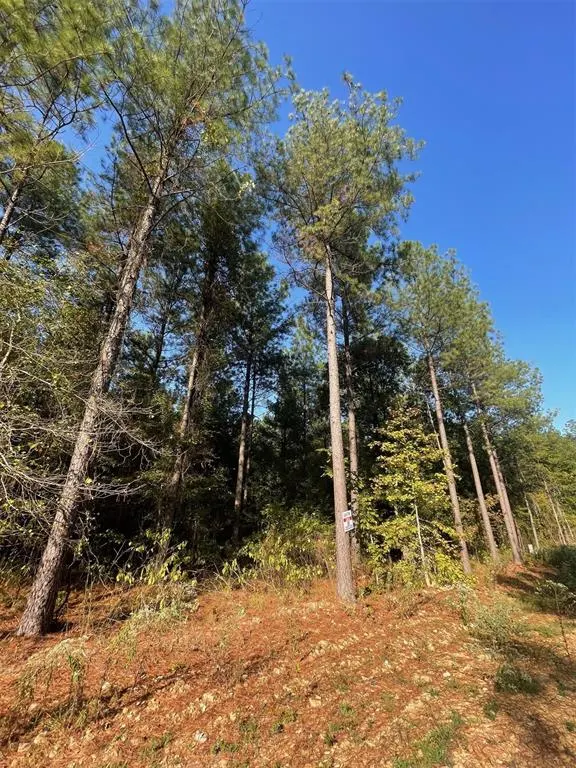 Photo 5 — 758 Timber Creek Trails South XI, Broken Bow, OK 74728