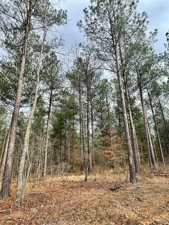 Photo 2 — 759 Timber Creek Trails South XI, Broken Bow, OK 74728