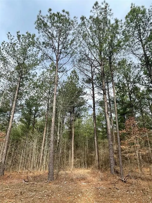 Photo 4 — 759 Timber Creek Trails South XI, Broken Bow, OK 74728