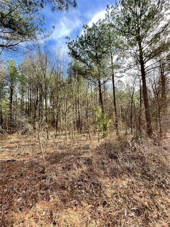 Photo 4 — 761 Timber Creek Trails South XI, Broken Bow, OK 74728