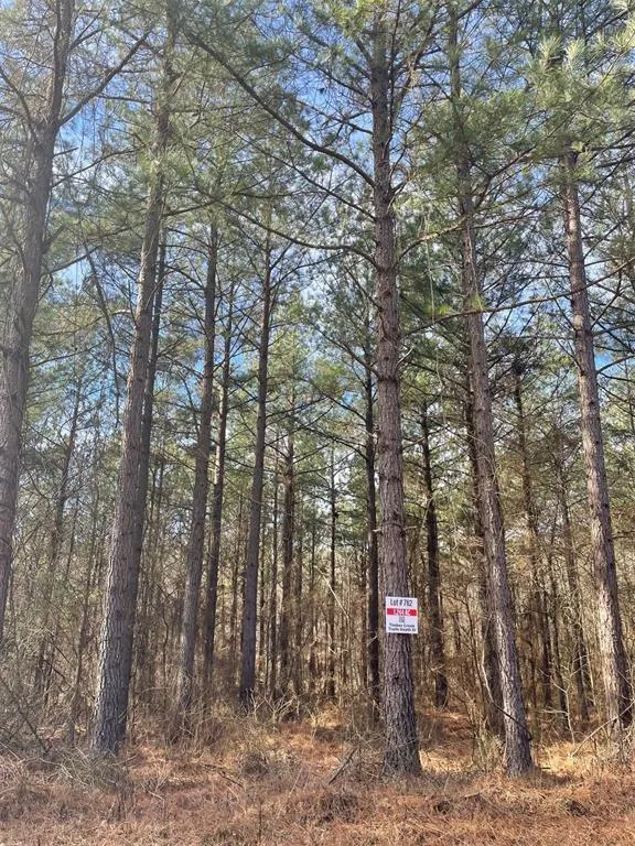Photo 3 — 762 Timber Creek Trails South XI, Broken Bow, OK 74728