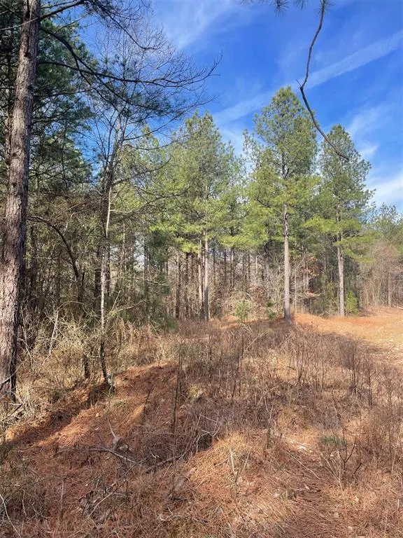 Photo 2 — 762 Timber Creek Trails South XI, Broken Bow, OK 74728