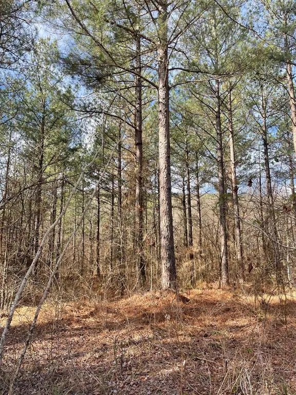 Photo 3 — 763 Timber Creek Trails South XI, Broken Bow, OK 74728