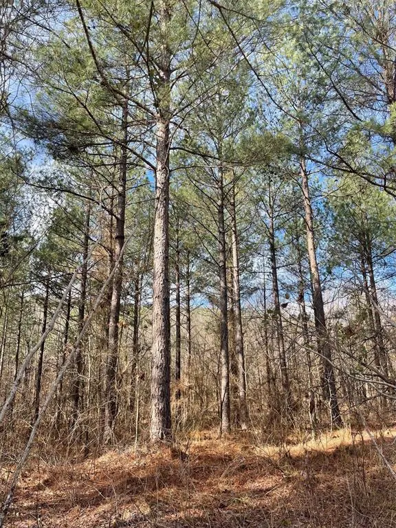 Photo 4 — 763 Timber Creek Trails South XI, Broken Bow, OK 74728