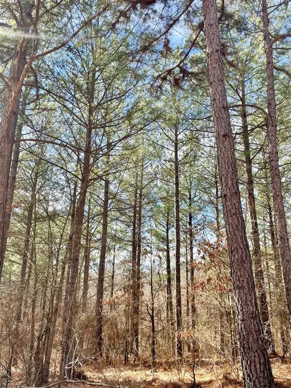 Photo 3 — 764 Timber Creek Trails South XI, Broken Bow, OK 74728